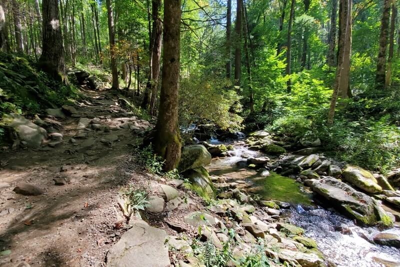 Waterfalls in Great Smoky Mountains National Park: Rainbow Falls Trail. Best waterfall hikes in the Smoky Mountains in Tennessee TN. Smokies travel blog
