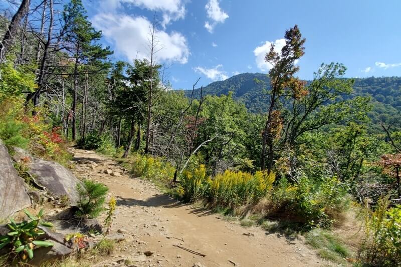 Waterfalls in Great Smoky Mountains National Park: Rainbow Falls Trail. Best waterfall hikes in the Smoky Mountains in Tennessee TN. Smokies travel blog