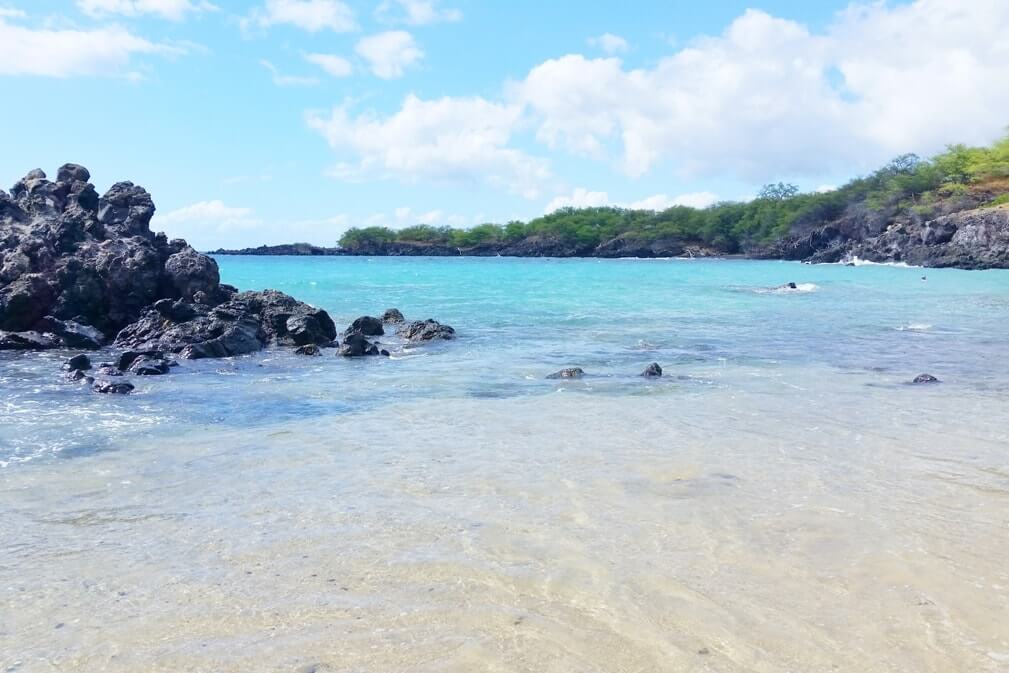 Big Island snorkeling spots: waialea bay beach, 69 beach. Hawaii travel blog