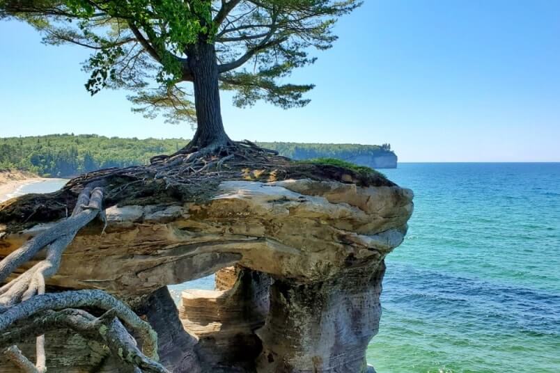 Things to do in Pictured Rocks National Lakeshore park: chapel rock, tree growing on a rock. UP Michigan travel blog
