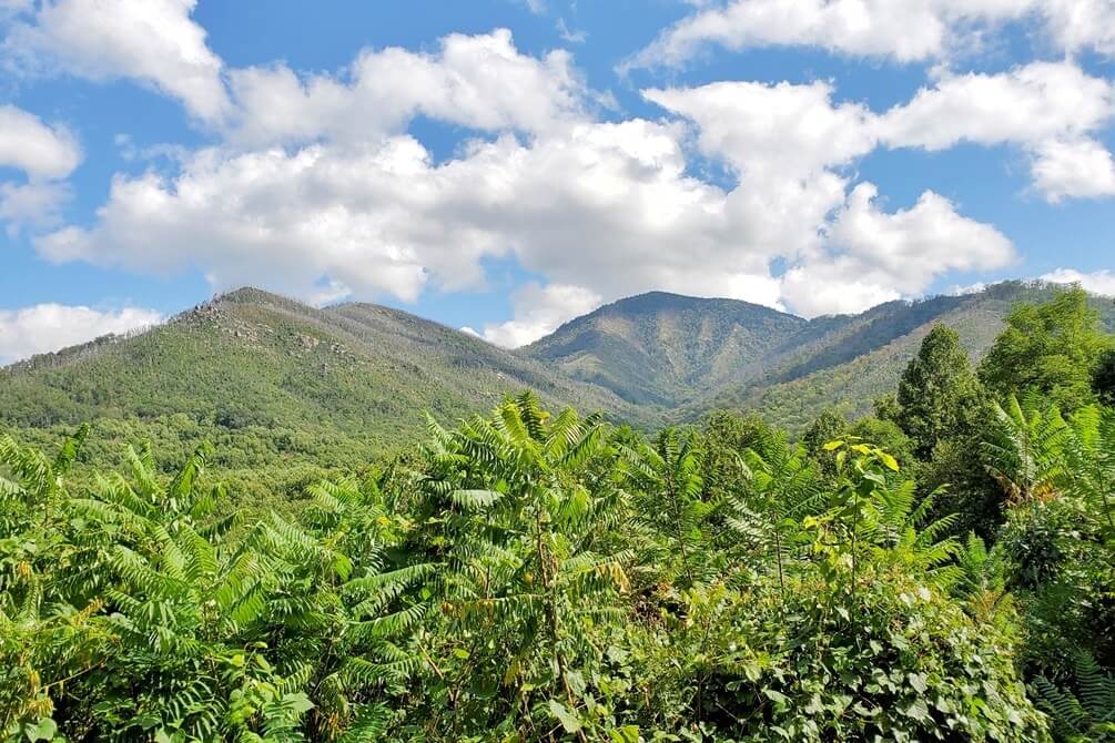 Carlos C Campbell overlook: smoky mountains views near gatlinburg tn. smoky mountains travel blog
