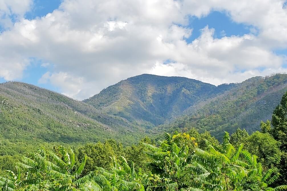 Carlos C Campbell overlook: smoky mountains views near gatlinburg tn. smoky mountains travel blog