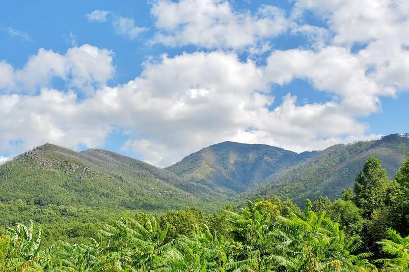 Carlos C Campbell overlook: scenic drive and overlook with smoky mountain views near gatlinburg. tn smoky mountains travel blog