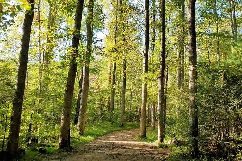 Hiking trail to John Oliver Cabin. Cades Cove hiking trail. smoky mountains travel blog