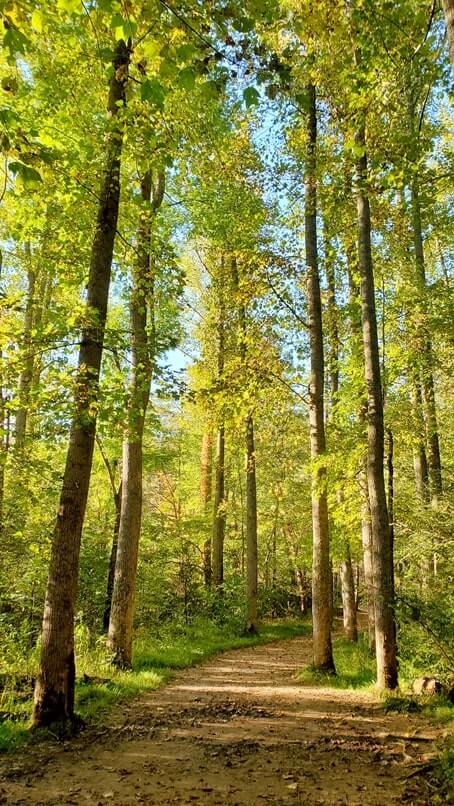 Hiking trail to John Oliver Cabin. Cades Cove hiking trail. smoky mountains travel blog