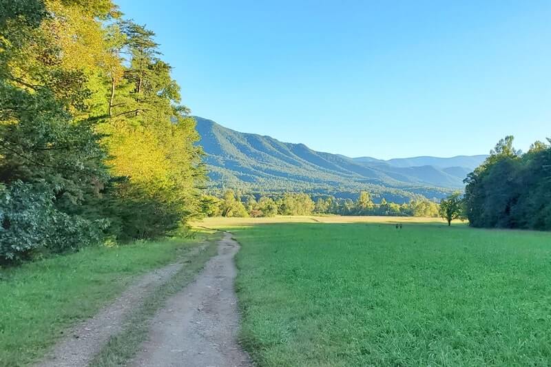 trail to John Oliver Cabin. cades cove. smoky mountains travel blog