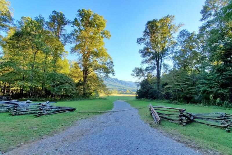 Trail to John Oliver cabin. cades cove hiking trail. smoky mountains travel blog