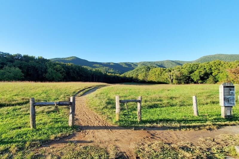 Trail to John Oliver cabin. cades cove hiking trail. smoky mountains travel blog