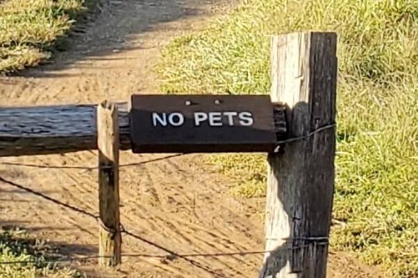 Are pets allowed in cades cove cabin trails. john oliver place. smoky mountains travel blog