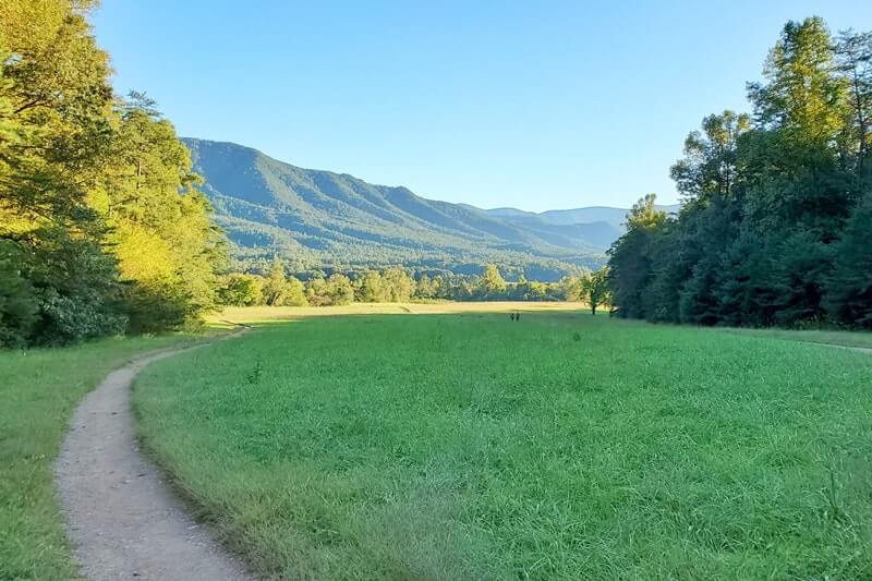 Trail to John Oliver cabin: Historic cabin in cades cove. smoky mountains cabin. smokies travel blog