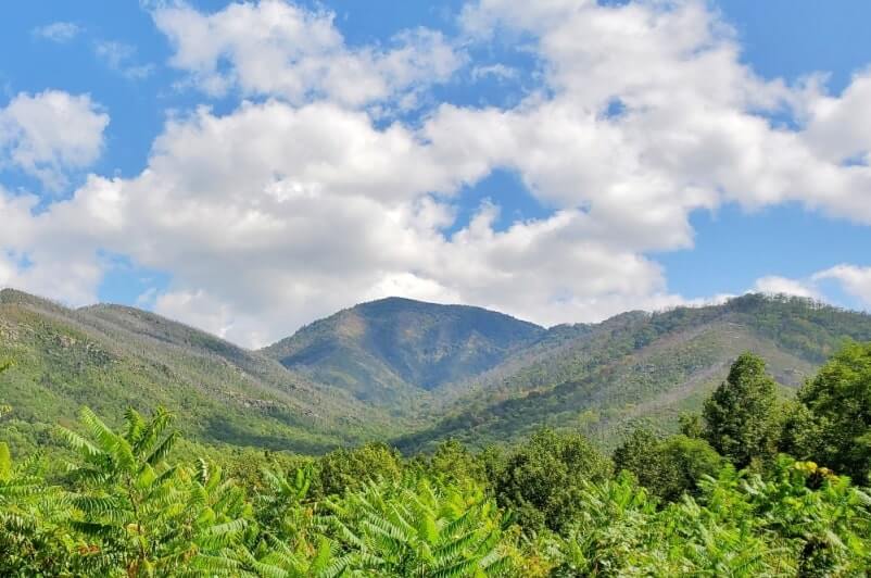 Things to do in Great Smoky Mountains National Park. scenic drive in tennessee. carlos campbell overlook, newfound gap road. tn smokies travel blog