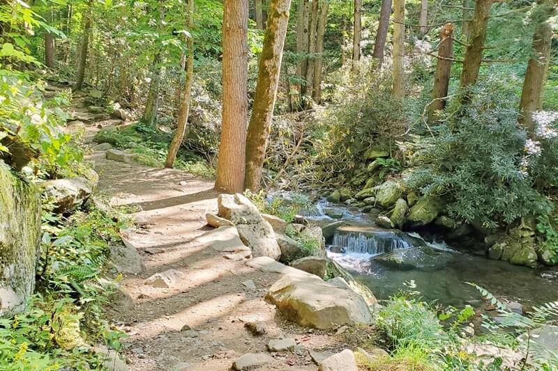 Things to do in Great Smoky Mountains National Park. hiking trail, waterfalls in tennessee. rainbow falls hike. tn smokies travel blog