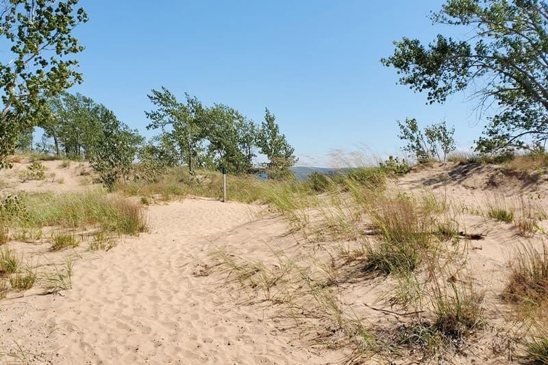 Cottonwood Trail: hiking trail in sleeping bear dunes. northern michigan travel blog