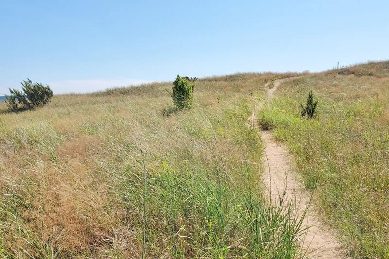 Cottonwood Trail: hiking trail in sleeping bear dunes. northern michigan travel blog