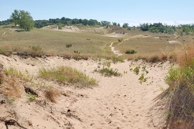 Cottonwood Trail: hiking trail in sleeping bear dunes. northern michigan travel blog
