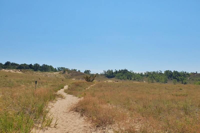 Cottonwood Trail: hiking trail in sleeping bear dunes. northern michigan travel blog