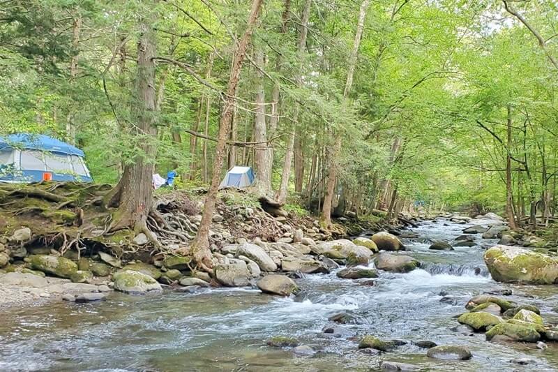Elkmont campground riverfront camping in great smoky mountains national park. smokies travel blog