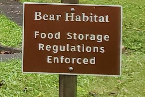 Great Smoky Mountains National Park camping bears. are there bears at smoky mountains campgrounds. smokies travel blog