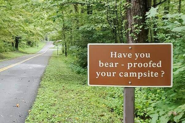 Great Smoky Mountains National Park camping bears. are there bears at smoky mountains campgrounds. smokies travel blog