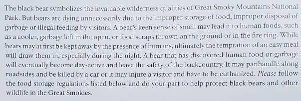 Great Smoky Mountains National Park camping bears. food storage. are there bears at smoky mountains campgrounds. smokies travel blog