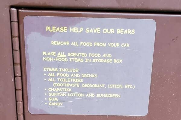 Great Smoky Mountains National Park camping bears. food storage. are there bears at smoky mountains campgrounds. smokies travel blog