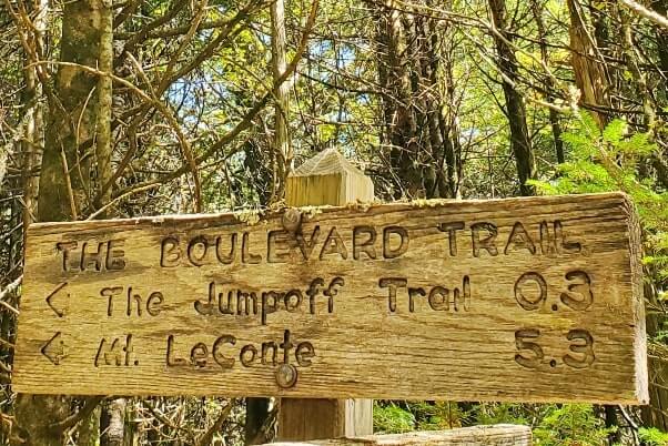 Mt LeConte Trail: appalachian trail to boulevard trail to mt leconte summit hike. smokies travel blog