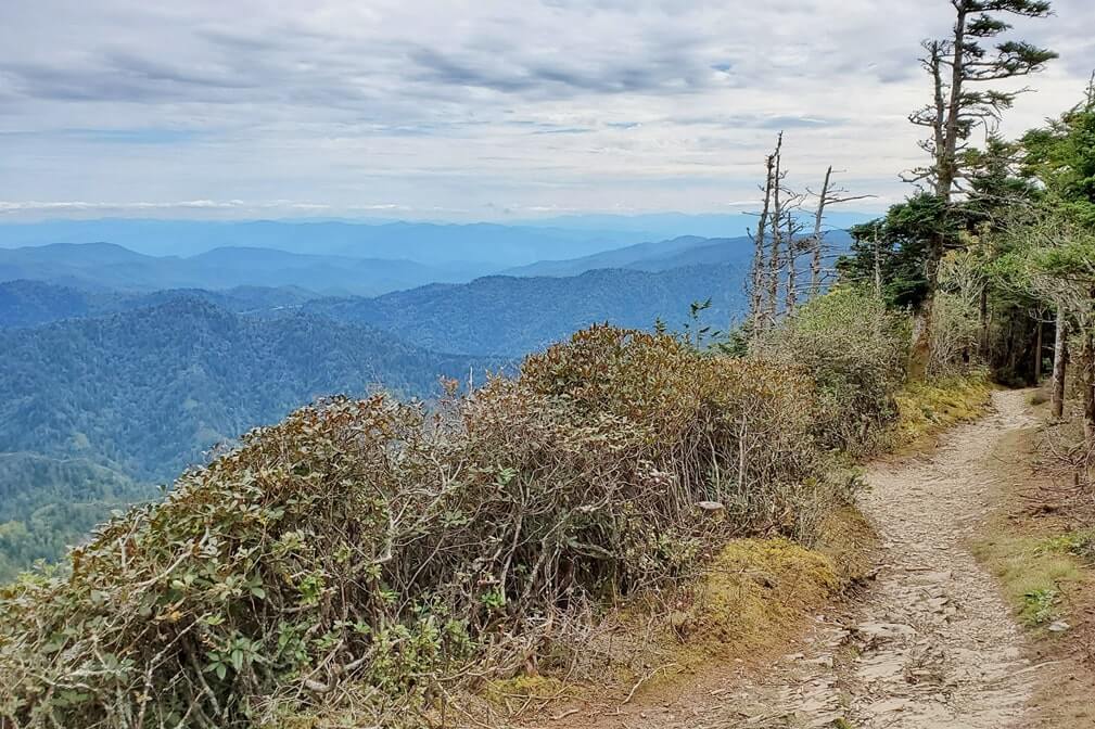 Mt LeConte summit trail. hiking mount leconte. best hikes in great smoky mountains national park. appalachian mountains in tennessee. smokies travel blog