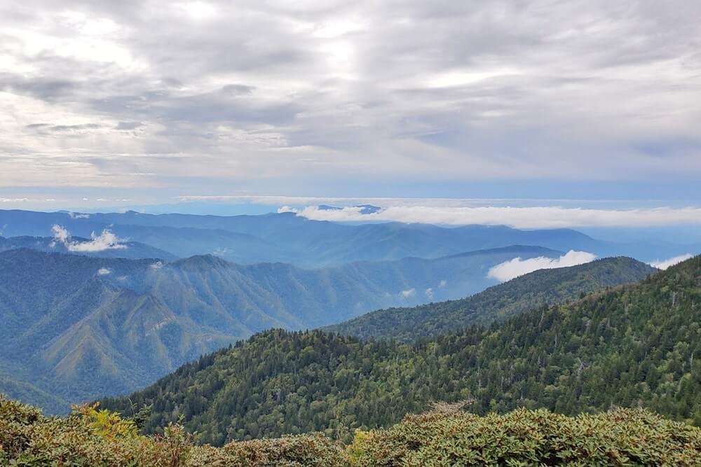 Mt LeConte summit trail. hiking mount leconte. best hikes in great smoky mountains national park. appalachian mountains in tennessee. smokies travel blog