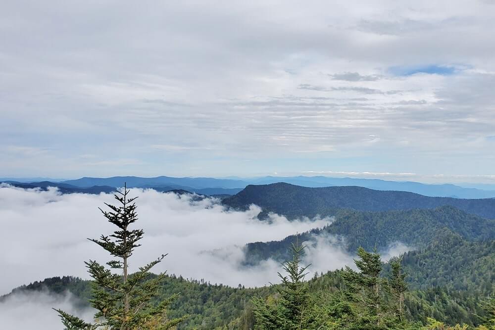 Mt LeConte summit weather. hiking mount leconte. best hikes in great smoky mountains national park. appalachian mountains in tennessee. smokies travel blog