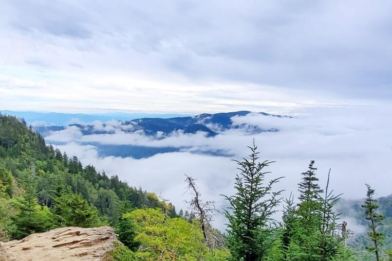 Mt LeConte summit weather. hiking mount leconte. best hikes in great smoky mountains national park. appalachian mountains in tennessee. smokies travel blog
