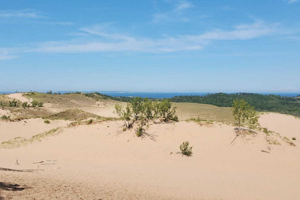 Best stops on Pierce Stocking Scenic Drive: dune overlook on the Cottonwood Trail. stop #4. michigan travel blog