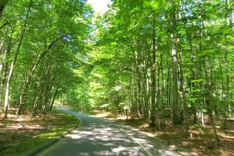 Pierce Scenic Stocking Drive: scenic drive in sleeping bear dunes national lakeshore. tunnel of trees. northern michigan travel blog.