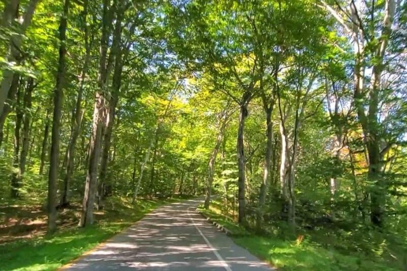 Pierce Scenic Stocking Drive: scenic drive in sleeping bear dunes national lakeshore. tunnel of trees. northern michigan travel blog.