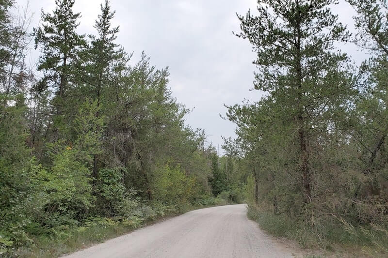 Getting to Sleeping Bear Point beach. michigan travel blog