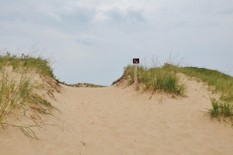 Beach trail to Sleeping Bear Point beach, Lake Michigan beach. michigan travel blog