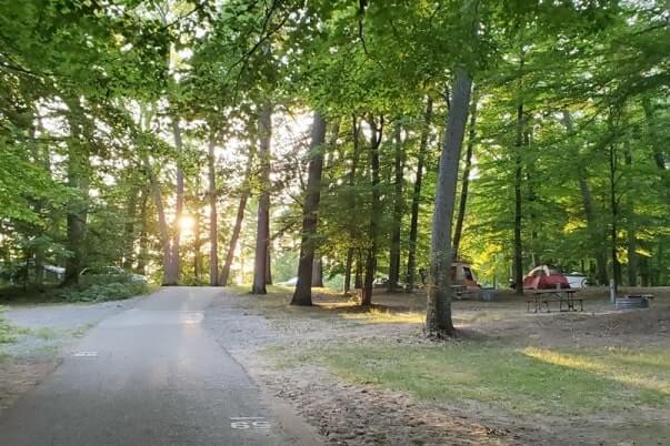 Campsite a-59 picture of Lake Michigan campground, Muskegon State Park camping near overlook. michigan travel blog