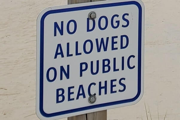 South Beach, dogs on beach in south haven. michigan travel blog