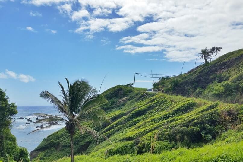 Getting to Huialoha church on piilani highway. driving the back road to hana, back side of haleakala. maui hawaii travel blog