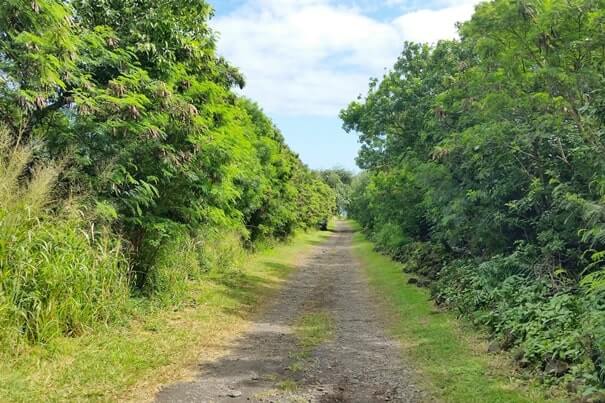 Road to Huialoha Church off of Piilani highway. maui hawaii travel blog