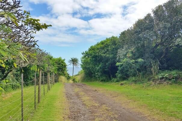 Road to Huialoha Church off of Piilani highway. maui hawaii travel blog
