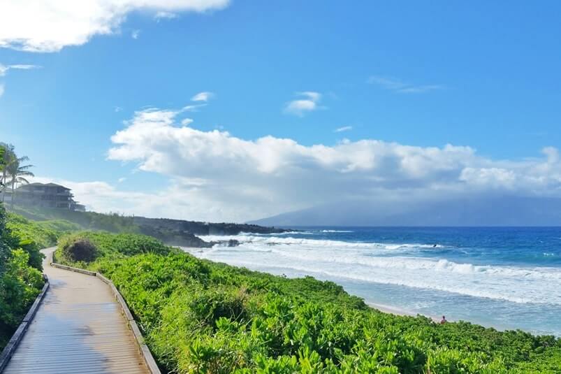 bus from lahaina cruise port to kapalua. things to do near lahaina cruise port. lahaina cruise port bus