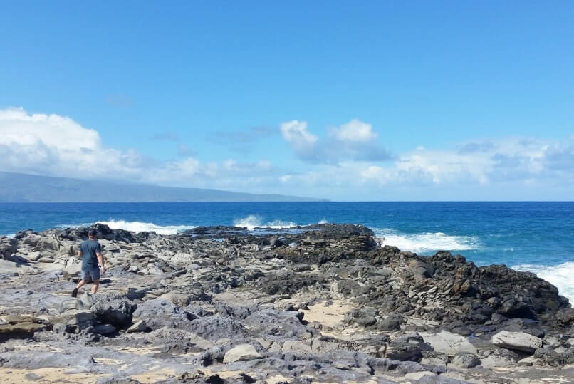 bus from lahaina cruise port to kapalua. things to do near lahaina cruise port. lahaina cruise port bus