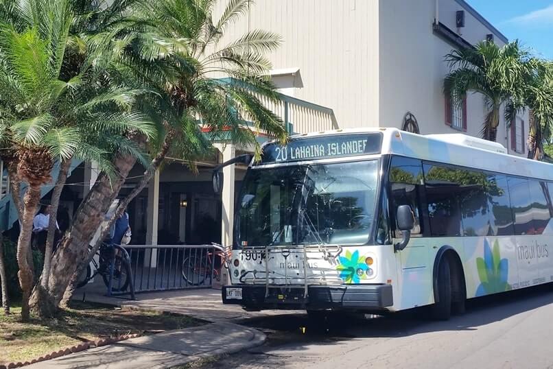 bus from lahaina cruise port. things to do near lahaina cruise port. lahaina cruise port bus