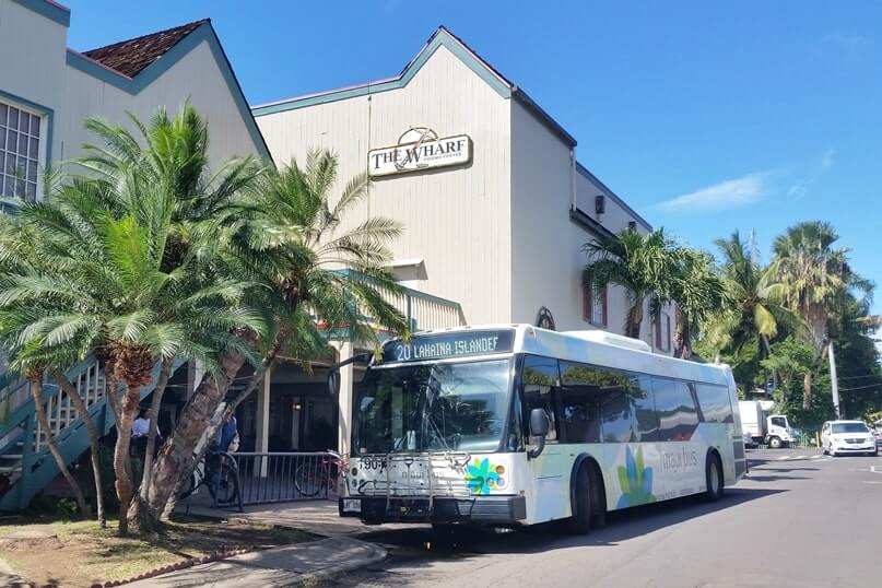 bus from lahaina cruise port. things to do near lahaina cruise port. lahaina cruise port bus