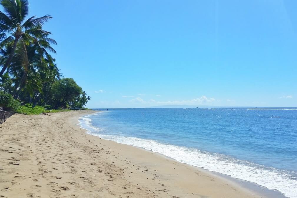 beach near lahaina cruise port. things to do near lahaina cruise port