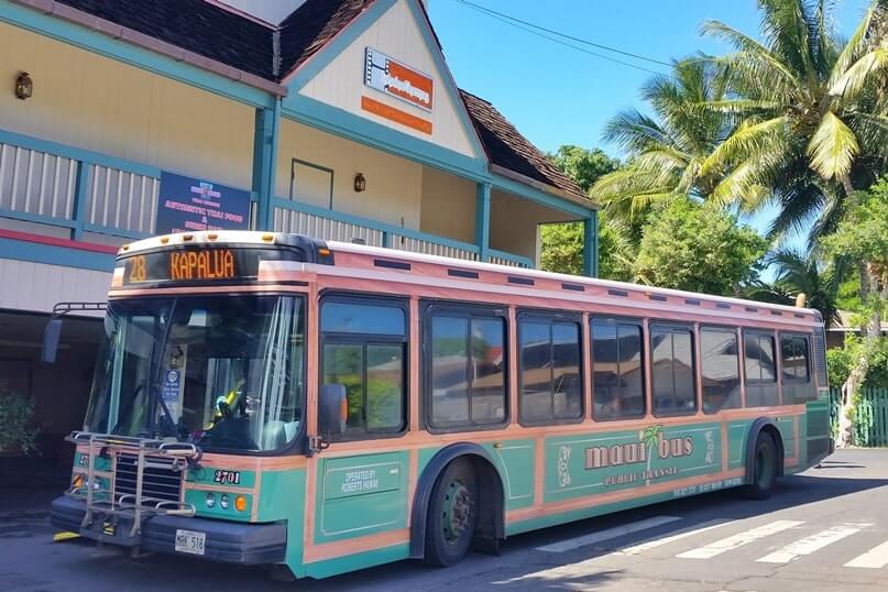 bus from lahaina cruise port to kapalua. things to do near lahaina cruise port. lahaina cruise port bus
