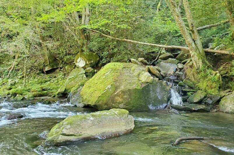 Little River Road waterfalls in the Smoky Mountains: mannis branch falls. smokies travel blog