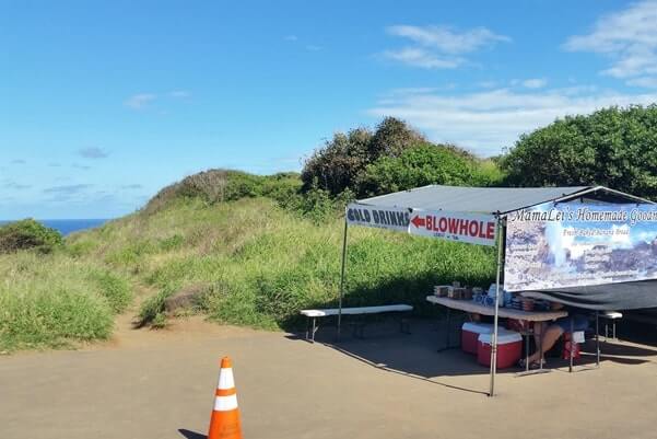 food near Nakalele Blowhole parking on kahekili highway. maui hawaii travel blog