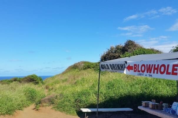 Getting to trailhead from Nakalele Blowhole parking. maui hawaii travel blog