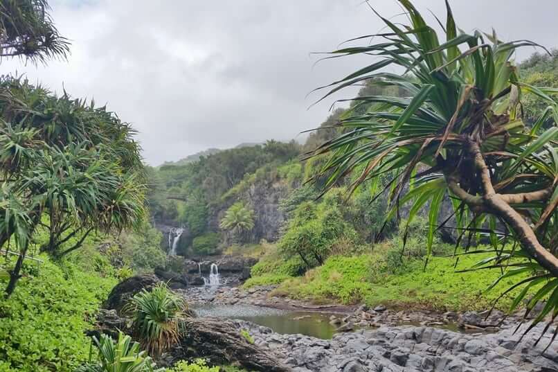 Haleakala coast hike. Kipahulu coast. Hana coast. Kuloa Point trail to oheo pools. seven sacred falls hike. haleakala national park. maui hawaii travel blog